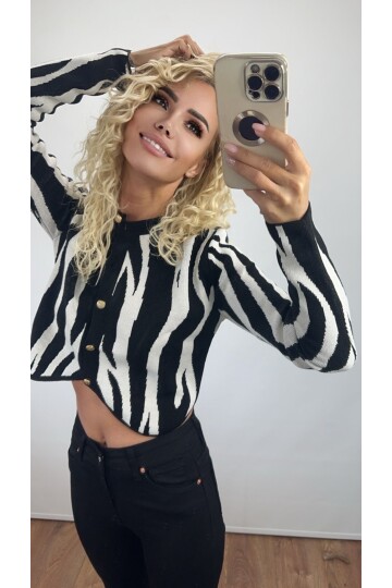 ZEBRA DESENLİ